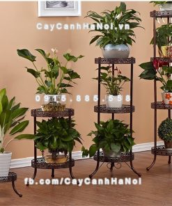 Kệ sắt đơn phong cách châu âu