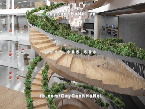 cây xanh văn phòng tốt cho sức khỏe