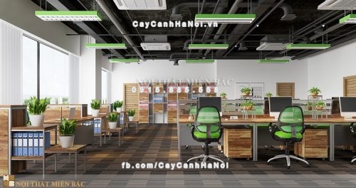 bai-tri-cay-xanh-tao-vuong-khi-cho-van-phong-1