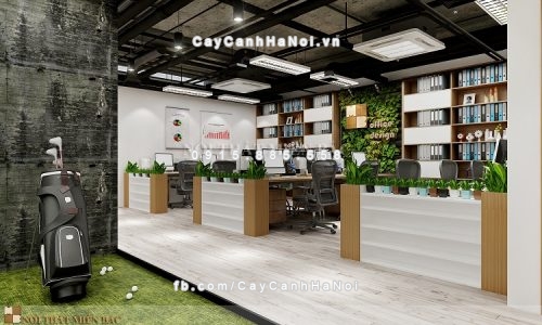 bai-tri-cay-xanh-tao-vuong-khi-cho-van-phong-2