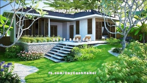 bi quyet trong cay theo phong thuy de gia dinh yen am tien tai den nha