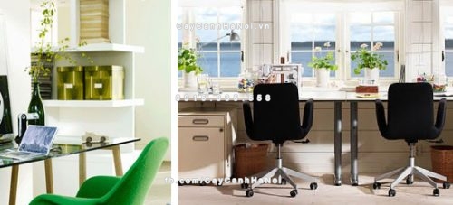 Những loại cây xanh tốt cho phong thủy nhà ở mà bạn nên biết 2 những loại cây xanh tốt cho phong thủy nhà ở