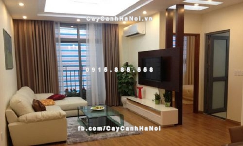 Cây xanh nội thất căn hộ chung cư tốt cho phong thủy và sức khỏe 2 cay-xanh-noi-that-can-ho-chung-cu-tot-cho-phong-thuy-va-suc-khoe-3