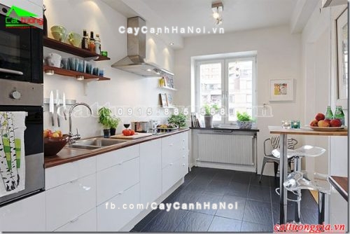 Cây xanh nội thất căn hộ chung cư tốt cho phong thủy và sức khỏe 4 cay-xanh-noi-that-can-ho-chung-cu-tot-cho-phong-thuy-va-suc-khoe-6