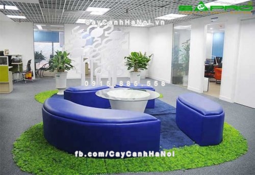 Thiết kế cây xanh nhà ở mang ý nghĩa phong thủy cho các bạn yêu thích phong thủy 2 thiết kế cây xanh nhà ở mang ý nghĩa phong thủy