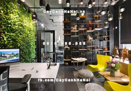 tai-sao-nen-trong-cay-xanh-trong-van-phong-1