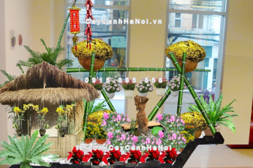 top cay canh mang den may man trong năm moi 2