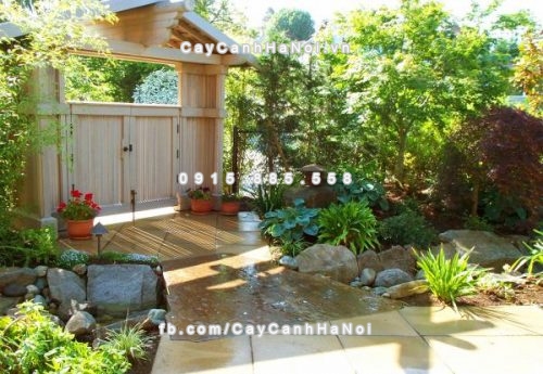 Trồng cây trước nhà đúng phong thủy nhất 2 trong-cay-truoc-nha-dung-phong-thuy-3