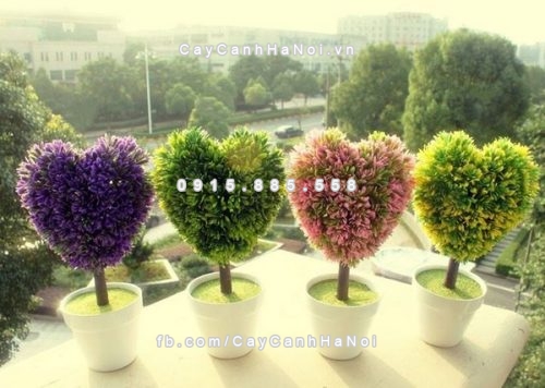 cba192goclamviecthuthaihonnhon