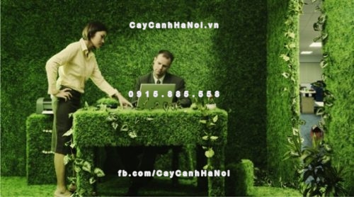 bai_viet_cchn1