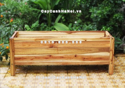 chau_go_trong_cay_chu_l_dcds016-1