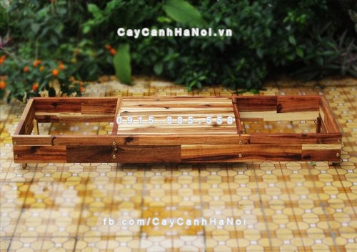 chau_go_trong_cay_chu_l_dcds016-2