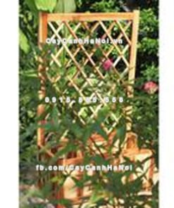 chau go trong cay chu nhat hoa leo DCDS 016 1 1