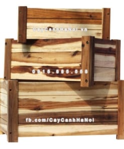 chau go trong cay chu nhat lon DCDSP413L 1