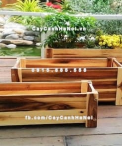 chau go trong cay chu nhat lon DCDSP413L 2