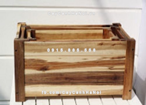 chau_go_trong_cay_chu_nhat_trung_dcdsp413t-3