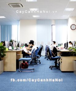 chau go trong cay thong minh tu tuoi GWL 111B 6