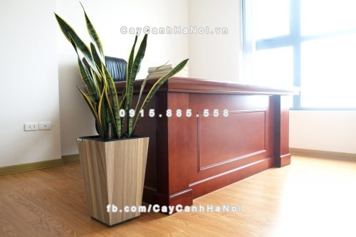 chau_go_trong_cay_thong_minh_tu_tuoi_gwl-121a-2