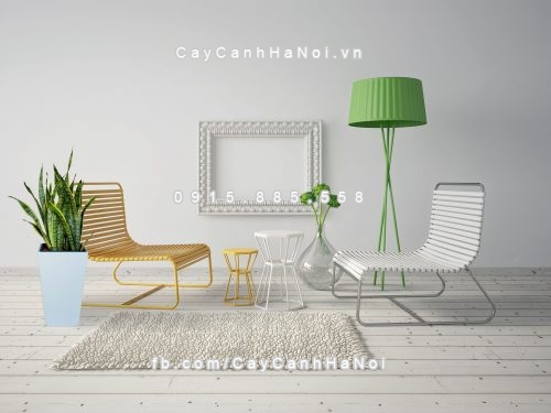 3d render. modern interior room with a beautyful furniture.