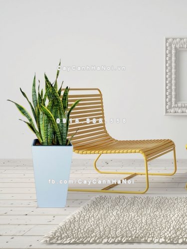 3d render. modern interior room with a beautyful furniture.