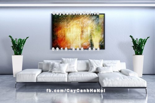 Chậu gỗ trồng cây THÔNG MINH tự tưới hình vuông vát đáy lớn | GWL - 121C 8 Living room