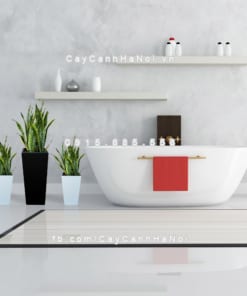 Chậu gỗ trồng cây THÔNG MINH tự tưới hình vuông vát đáy lớn | GWL - 121C 3 chau go trong cay thong minh tu tuoi GWL 121C 4