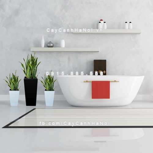 chau_go_trong_cay_thong_minh_tu_tuoi_gwl-121c-4