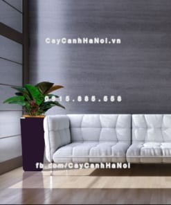 Chậu gỗ trồng cây THÔNG MINH tự tưới hình vuông vát đáy lớn | GWL - 121C 1 chau go trong cay thong minh tu tuoi GWL 121C 6