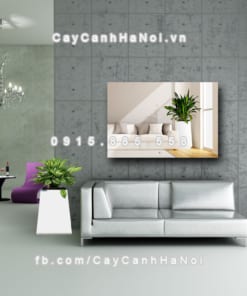 Chậu gỗ trồng cây THÔNG MINH tự tưới hình vuông bầu đáy nhỏ | GWL - 131A 2 chau go trong cay thong minh tu tuoi GWL 131A 2