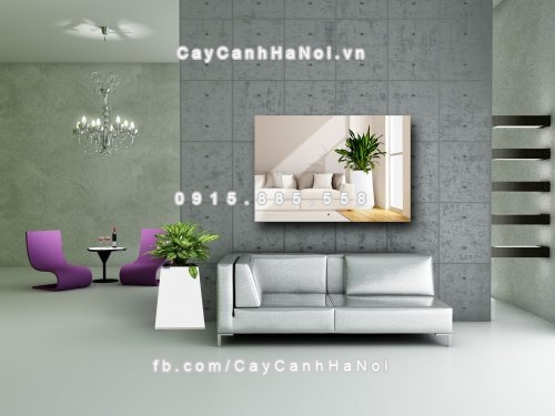 Chậu gỗ trồng cây THÔNG MINH tự tưới hình vuông bầu đáy nhỏ | GWL - 131A 4 chau_go_trong_cay_thong_minh_tu_tuoi_gwl-131a-2