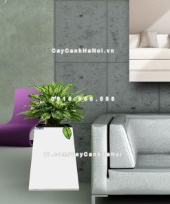 Chậu gỗ trồng cây THÔNG MINH tự tưới hình vuông bầu đáy nhỏ | GWL - 131A 1 chau go trong cay thong minh tu tuoi GWL 131A 3