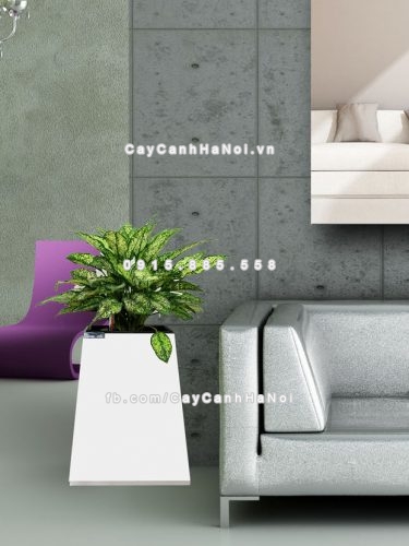 chau_go_trong_cay_thong_minh_tu_tuoi_gwl-131a-3