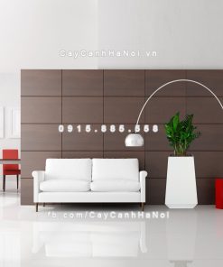 chau go trong cay thong minh tu tuoi GWL 133C 5