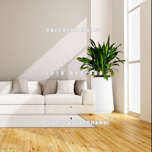 Minimalist lounge with white sofa - 3D rendering