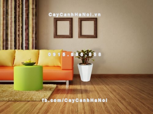 chau_go_trong_cay_thong_minh_tu_tuoi_gwl-423b-2