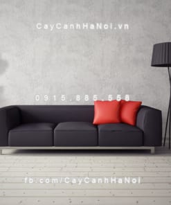 Chậu gỗ trồng cây THÔNG MINH tự tưới bát giác vát đáy lớn | GWL - 423C 4 chau go trong cay thong minh tu tuoi GWL 423C 1