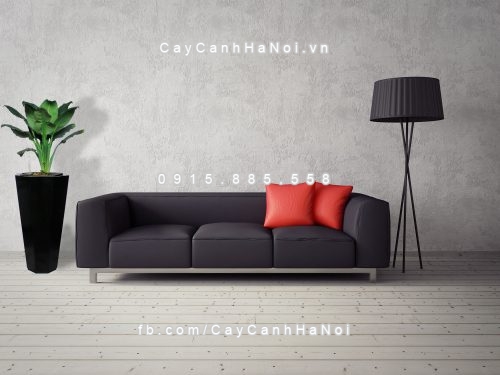 Chậu gỗ trồng cây THÔNG MINH tự tưới bát giác vát đáy lớn | GWL - 423C 8 3d render. modern interior room with a beautyful furniture.