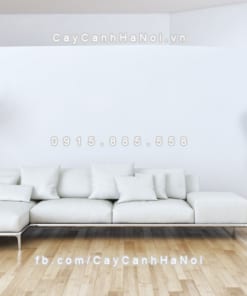 Chậu gỗ trồng cây THÔNG MINH tự tưới bát giác vát đáy lớn | GWL - 423C 3 chau go trong cay thong minh tu tuoi GWL 423C 2