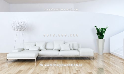 Chậu gỗ trồng cây THÔNG MINH tự tưới bát giác vát đáy lớn | GWL - 423C 7 Living room