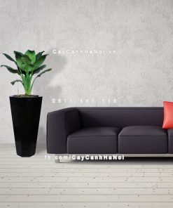 Chậu gỗ trồng cây THÔNG MINH tự tưới bát giác vát đáy lớn | GWL - 423C 2 chau go trong cay thong minh tu tuoi GWL 423C 3