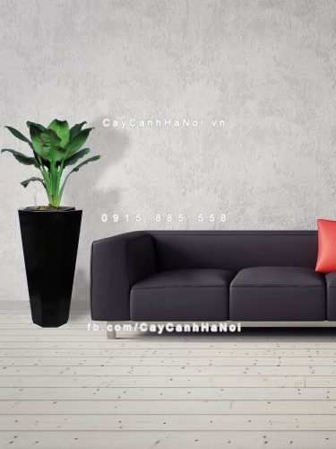 Chậu gỗ trồng cây THÔNG MINH tự tưới bát giác vát đáy lớn | GWL - 423C 6 3d render. modern interior room with a beautyful furniture.