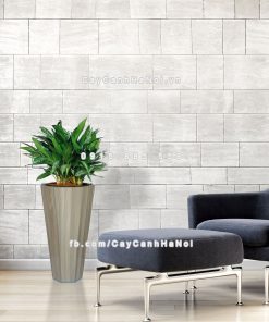 Chậu gỗ trồng cây THÔNG MINH tự tưới bát giác vát đáy lớn | GWL - 423C 1 chau go trong cay thong minh tu tuoi GWL 423C 5