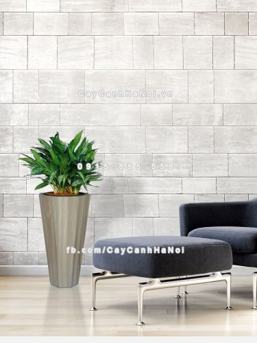 Chậu gỗ trồng cây THÔNG MINH tự tưới bát giác vát đáy lớn | GWL - 423C 5 Living room