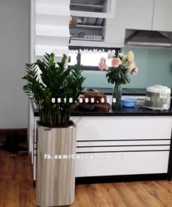 Chậu gỗ trồng cây THÔNG MINH tự tưới hình vuông vát góc lớn | GWL - 513C 1 chau go trong cay thong minh tu tuoi GWL 513C 3
