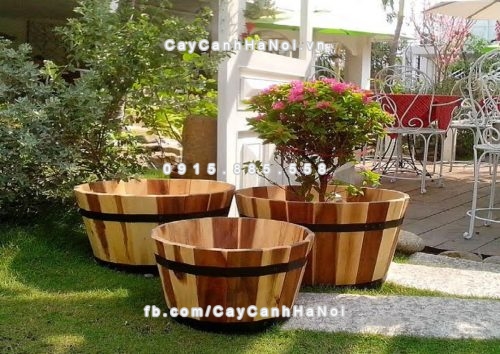 chau_go_trong_cay_tron_trung_dcdsp002at-2