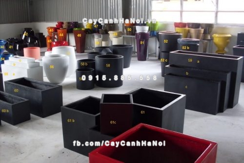 chau_composite_trong_cay_cao_cap_4_1104