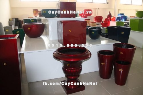 chau_composite_trong_cay_cao_cap_5_1105