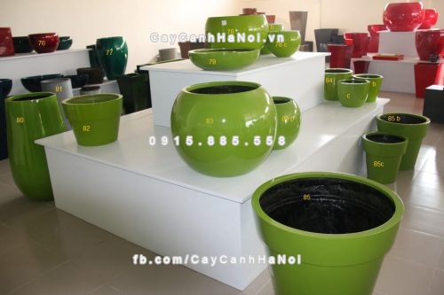 chau_composite_trong_cay_cao_cap_6_1106