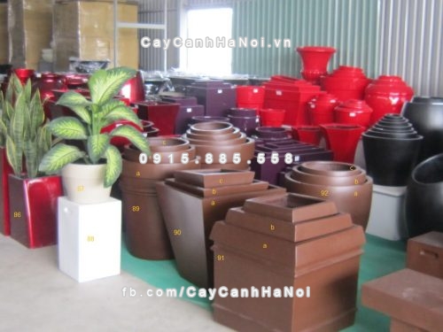 chau_composite_trong_cay_cao_cap_7_1107