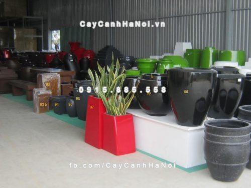 chau_composite_trong_cay_cao_cap_8_1108